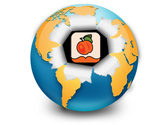 world burst logo